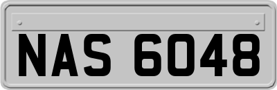 NAS6048