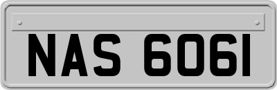 NAS6061