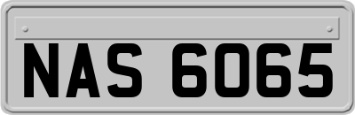 NAS6065