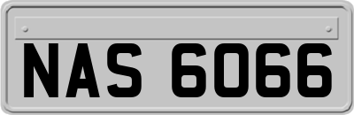 NAS6066