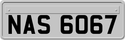 NAS6067