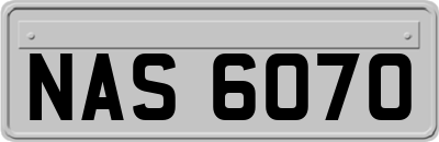 NAS6070