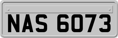 NAS6073