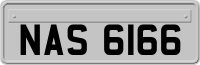 NAS6166