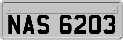 NAS6203