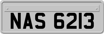 NAS6213