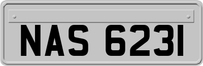 NAS6231