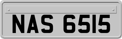 NAS6515