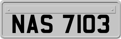 NAS7103