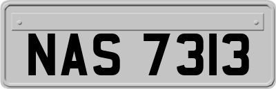 NAS7313