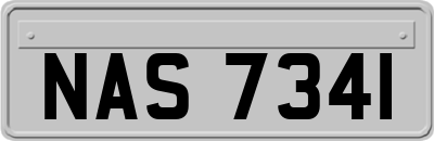 NAS7341