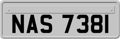 NAS7381