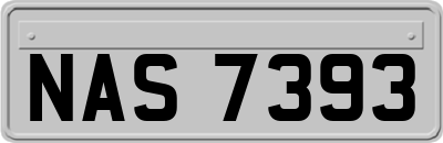 NAS7393