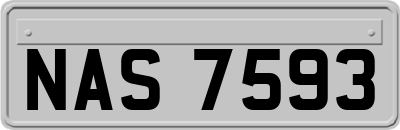 NAS7593