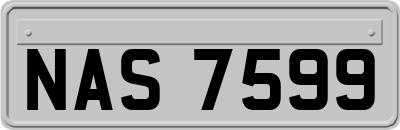 NAS7599