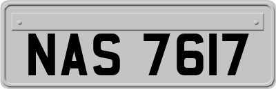 NAS7617