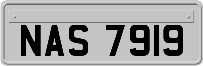 NAS7919