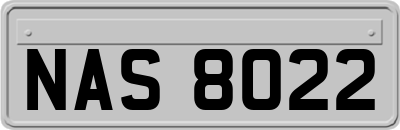 NAS8022