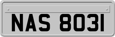 NAS8031