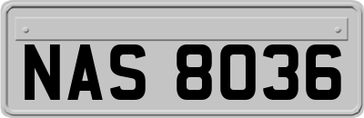 NAS8036