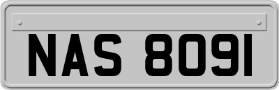 NAS8091