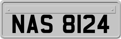 NAS8124