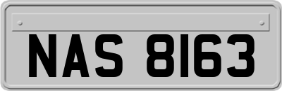 NAS8163