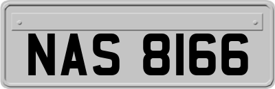 NAS8166