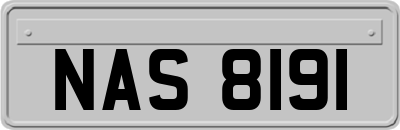 NAS8191