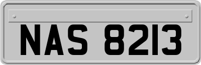 NAS8213