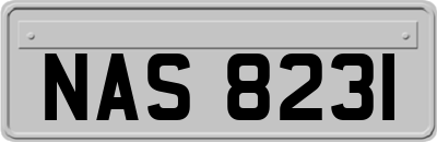 NAS8231