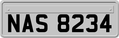 NAS8234