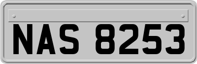 NAS8253