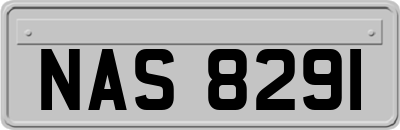 NAS8291