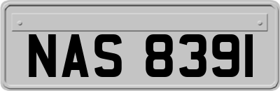 NAS8391