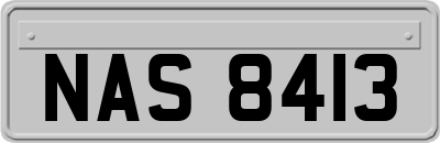 NAS8413