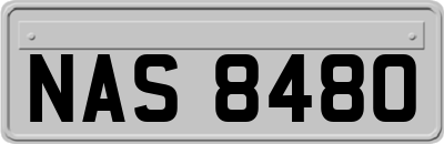 NAS8480