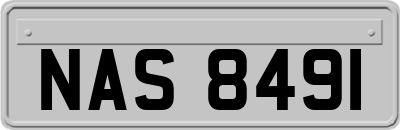 NAS8491