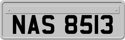 NAS8513