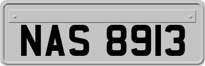 NAS8913