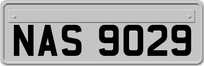 NAS9029