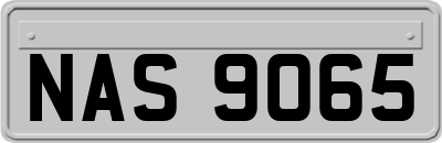 NAS9065