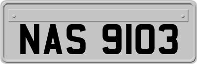 NAS9103