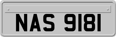 NAS9181