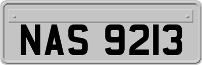 NAS9213