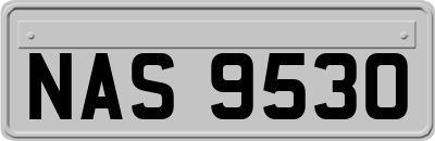 NAS9530