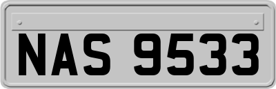 NAS9533