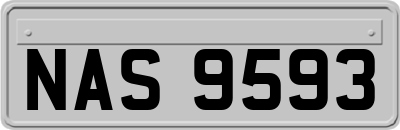 NAS9593