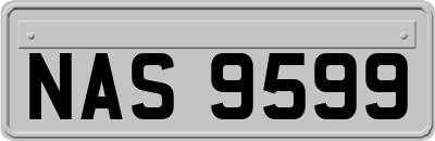 NAS9599