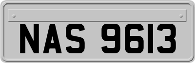 NAS9613